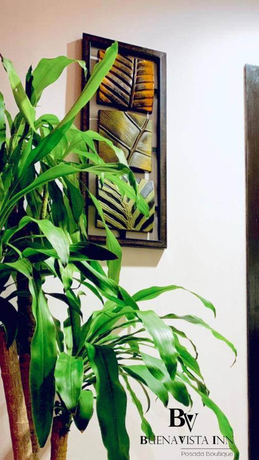 Buenavista Inn Maiquetía Екстериор снимка
